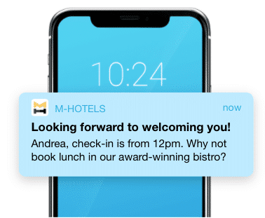 Website notifications for travel and hospitality brands